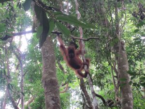 The Ultimate Bucketlist for Asia
