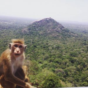 In Awe of Sri Lanka – Solo Female Travel