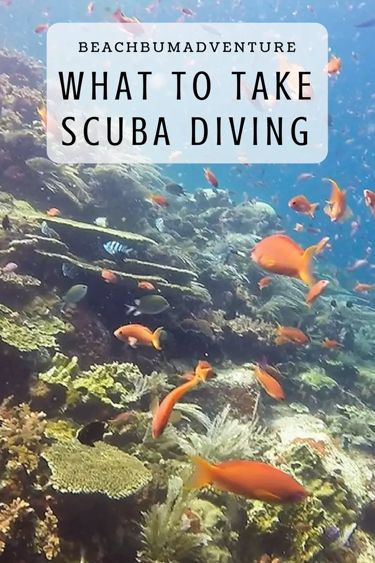 scuba dive packing guide - Beach Bum Adventure