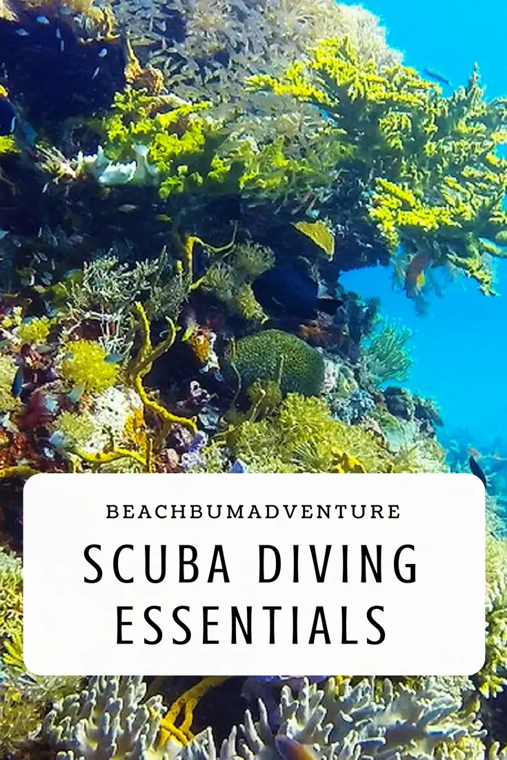 scuba dive packing guide