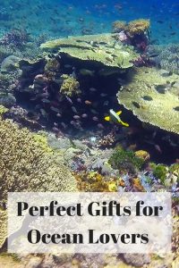 Perfect Gifts for Ocean Lovers