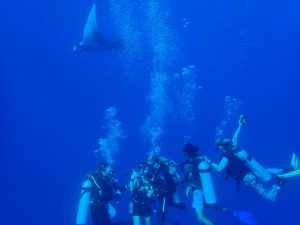 cheap diving Maldives - photo of oceanic manta photobombing me and friends while scuba diving