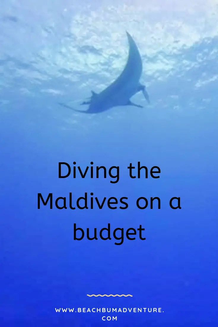pin me to pinterest diving in the Maldives on a budget