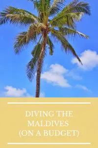 pin me to pinterest diving in the Maldives on a budget