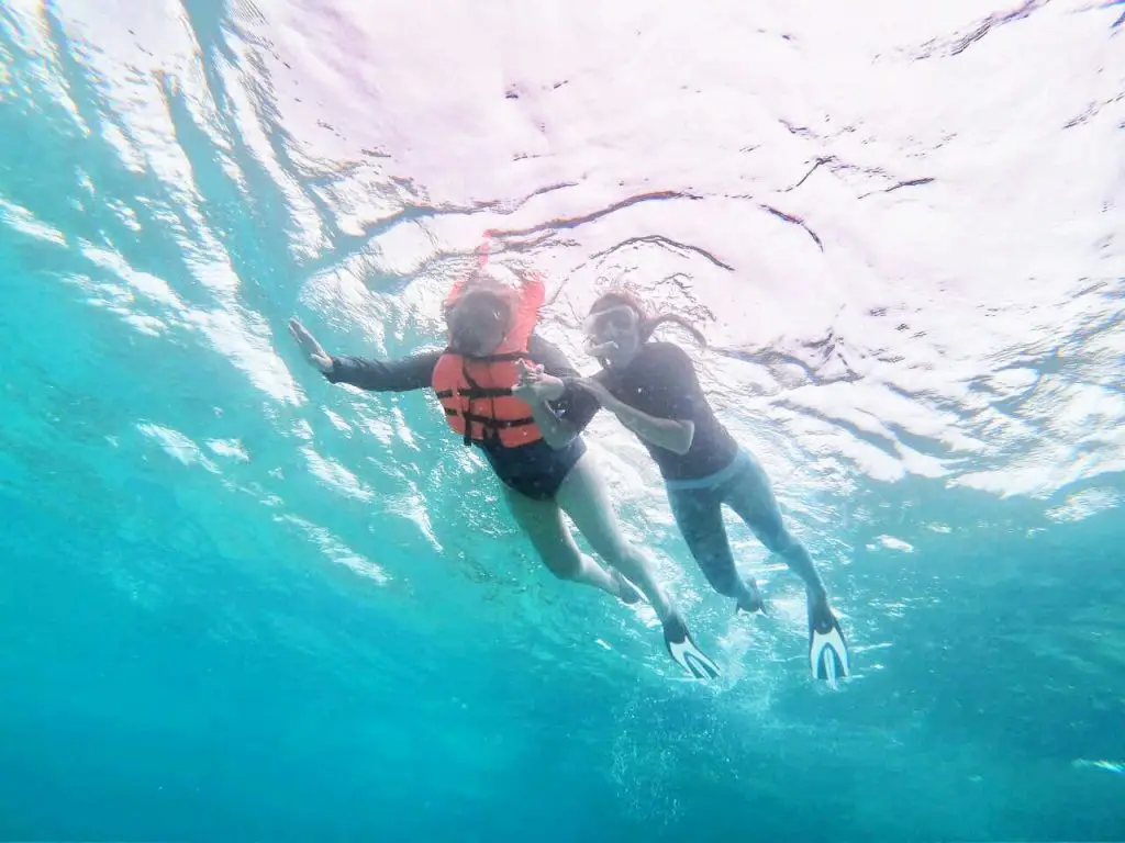 Picture of Cheap Snorkelling Trips in Gulhi