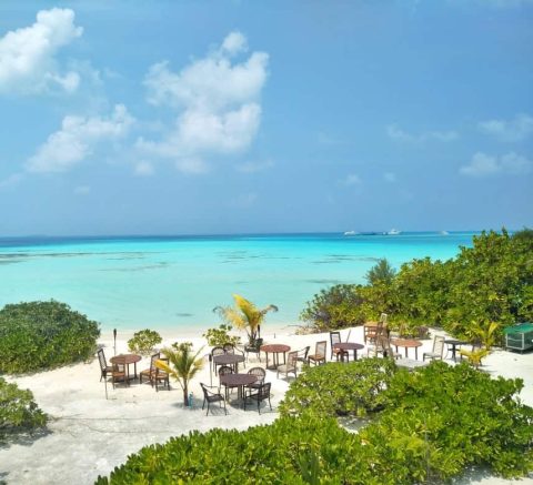 Visit Dhiffushi Island: Local Island Maldives