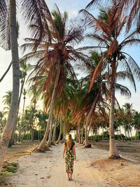 Thoddoo in the plantation fields