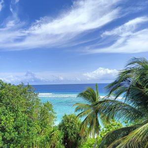 Best Local Islands Maldives