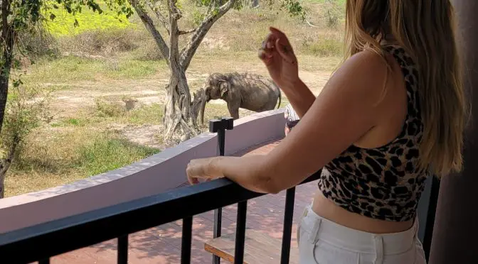 photo of travel blogger in an ethical elephant sanctuary to show outfit for blog post on thailand packing list