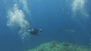 Where to Stay in Malapascua Island, Cebu (Plus What to Do!)