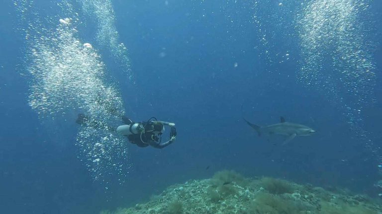 Where to Stay in Malapascua Island, Cebu (Plus What to Do!)